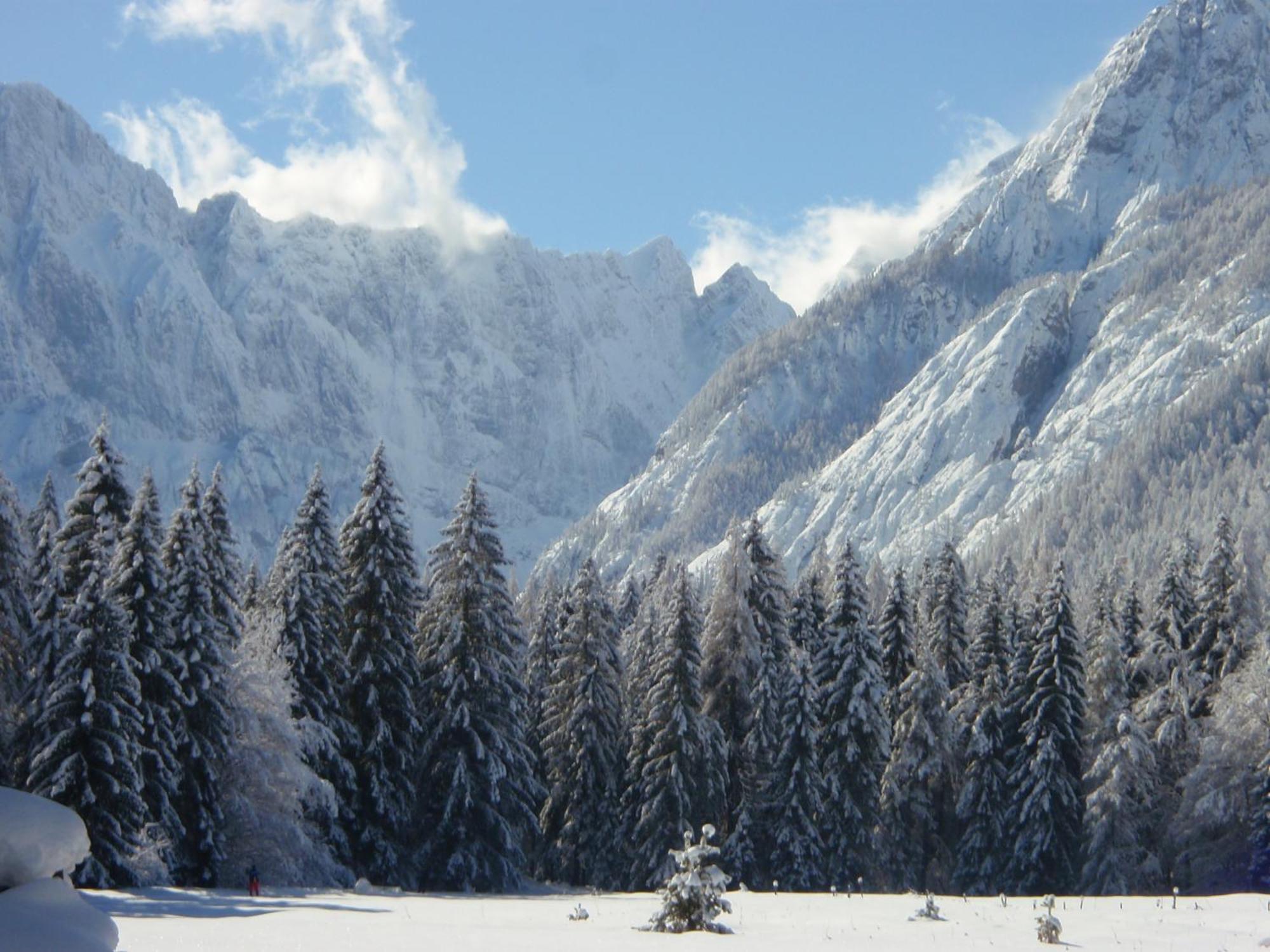 Tempfer 2 Apartments & Rooms With New Wellness Kranjska Gora Esterno foto