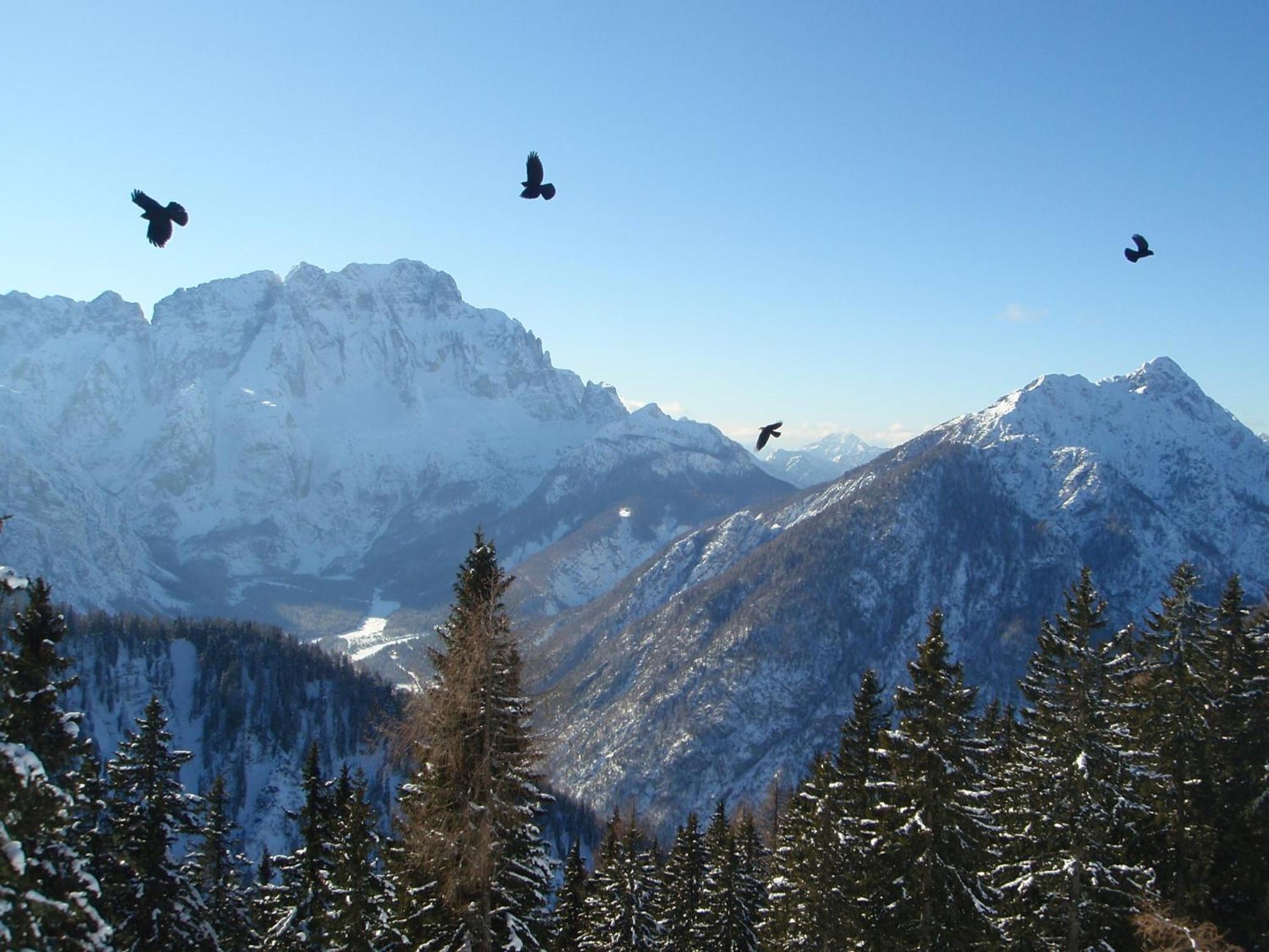 Tempfer 2 Apartments & Rooms With New Wellness Kranjska Gora Esterno foto