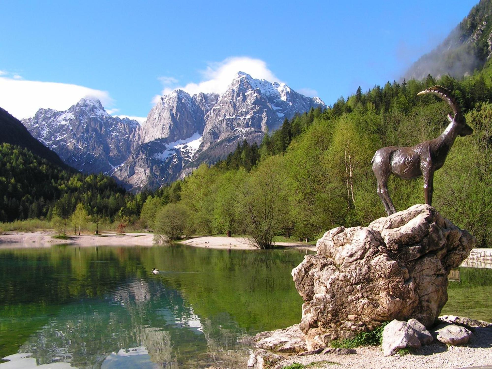 Tempfer 2 Apartments & Rooms With New Wellness Kranjska Gora Esterno foto