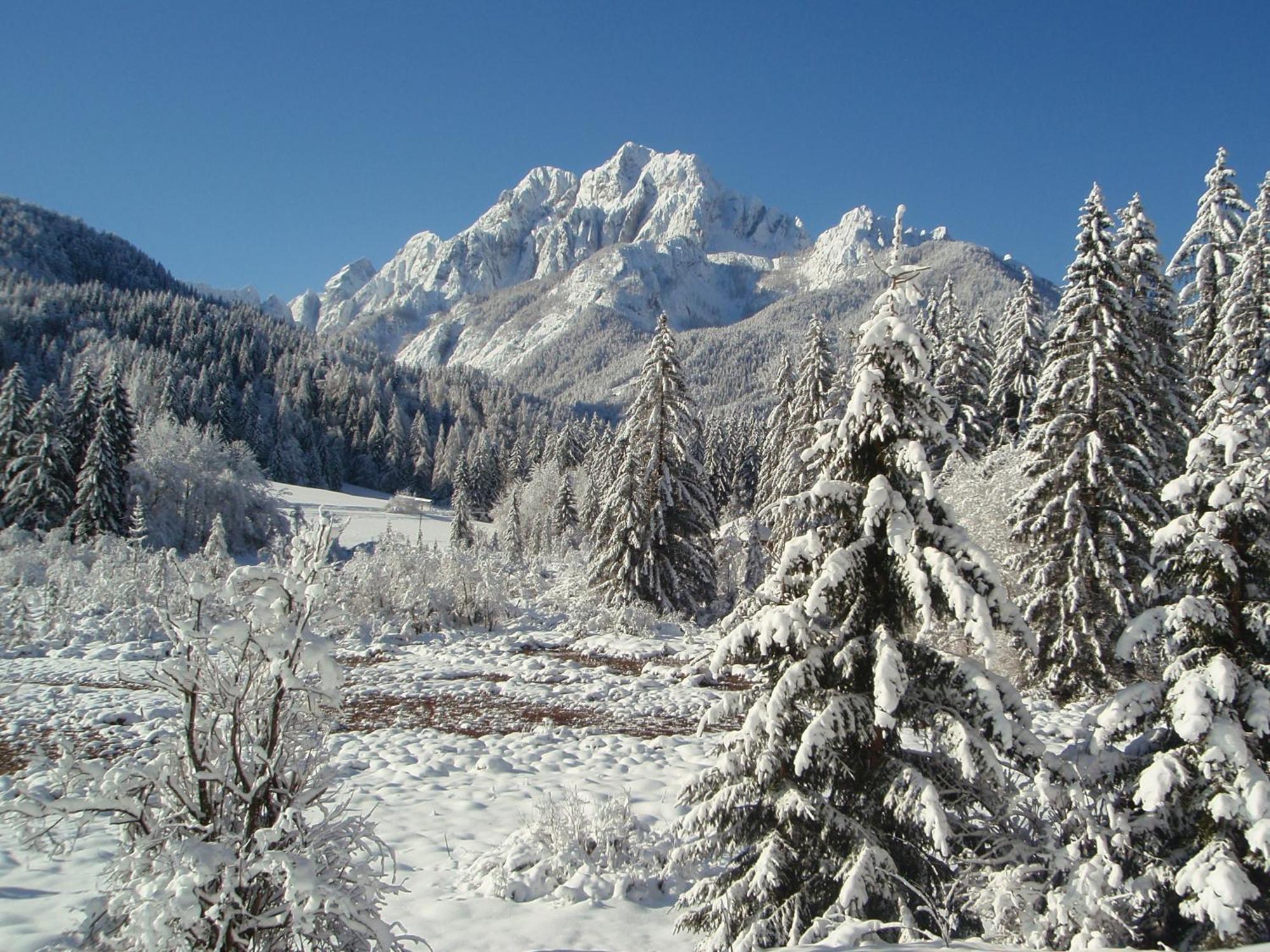 Tempfer 2 Apartments & Rooms With New Wellness Kranjska Gora Esterno foto