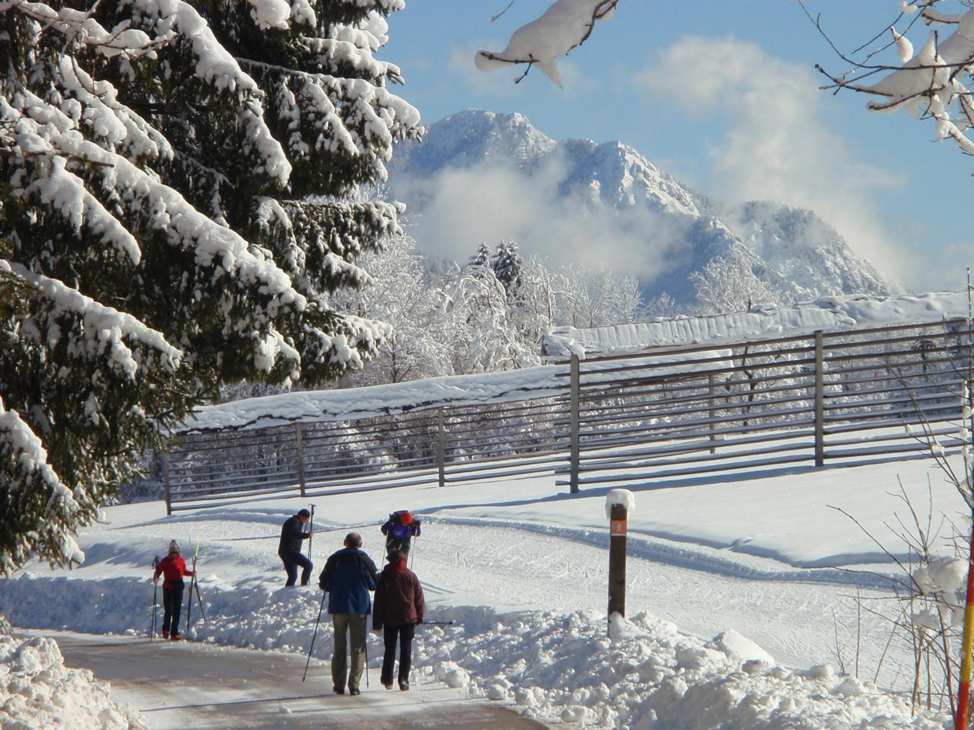Tempfer 2 Apartments & Rooms With New Wellness Kranjska Gora Esterno foto