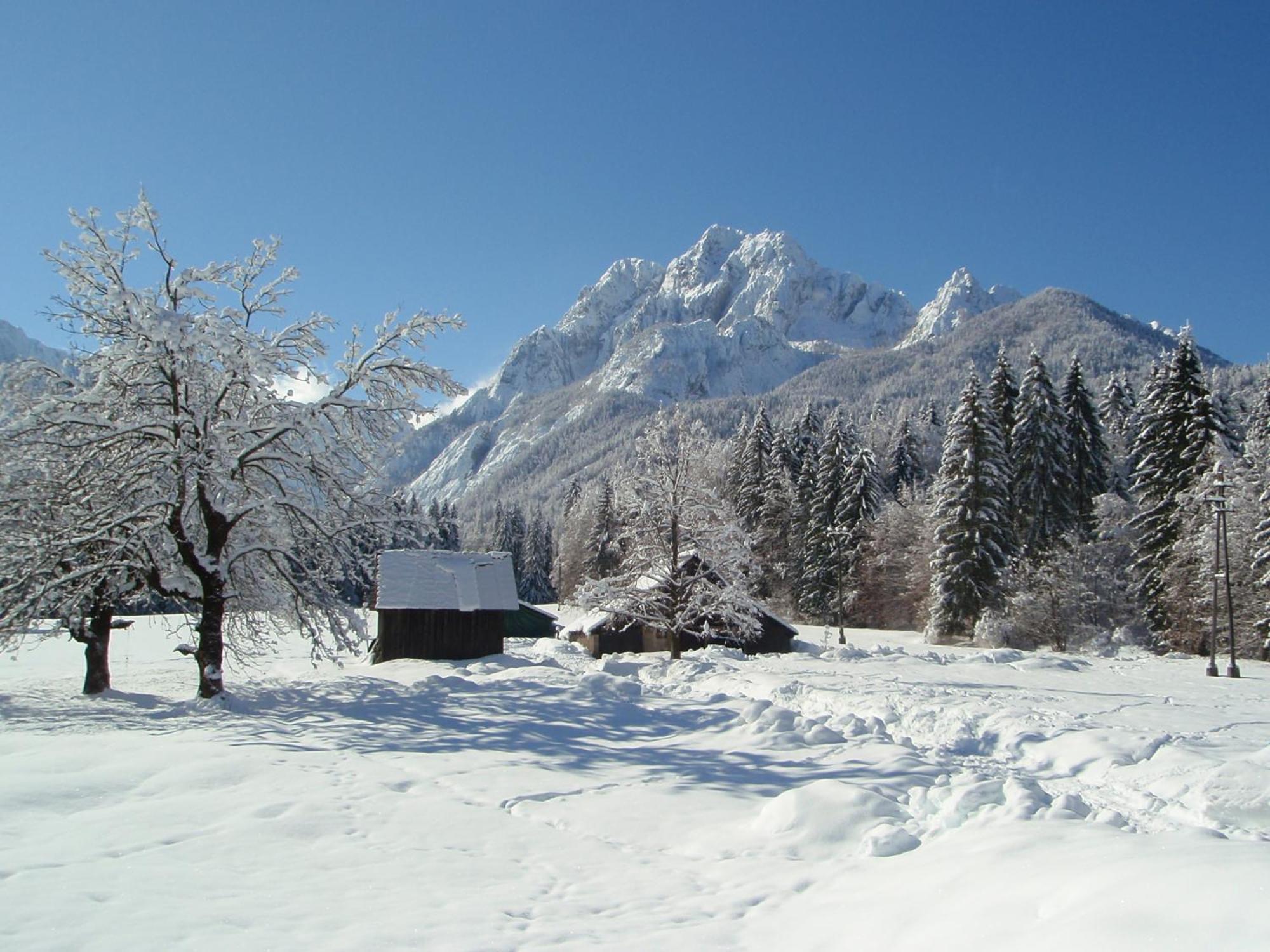 Tempfer 2 Apartments & Rooms With New Wellness Kranjska Gora Esterno foto