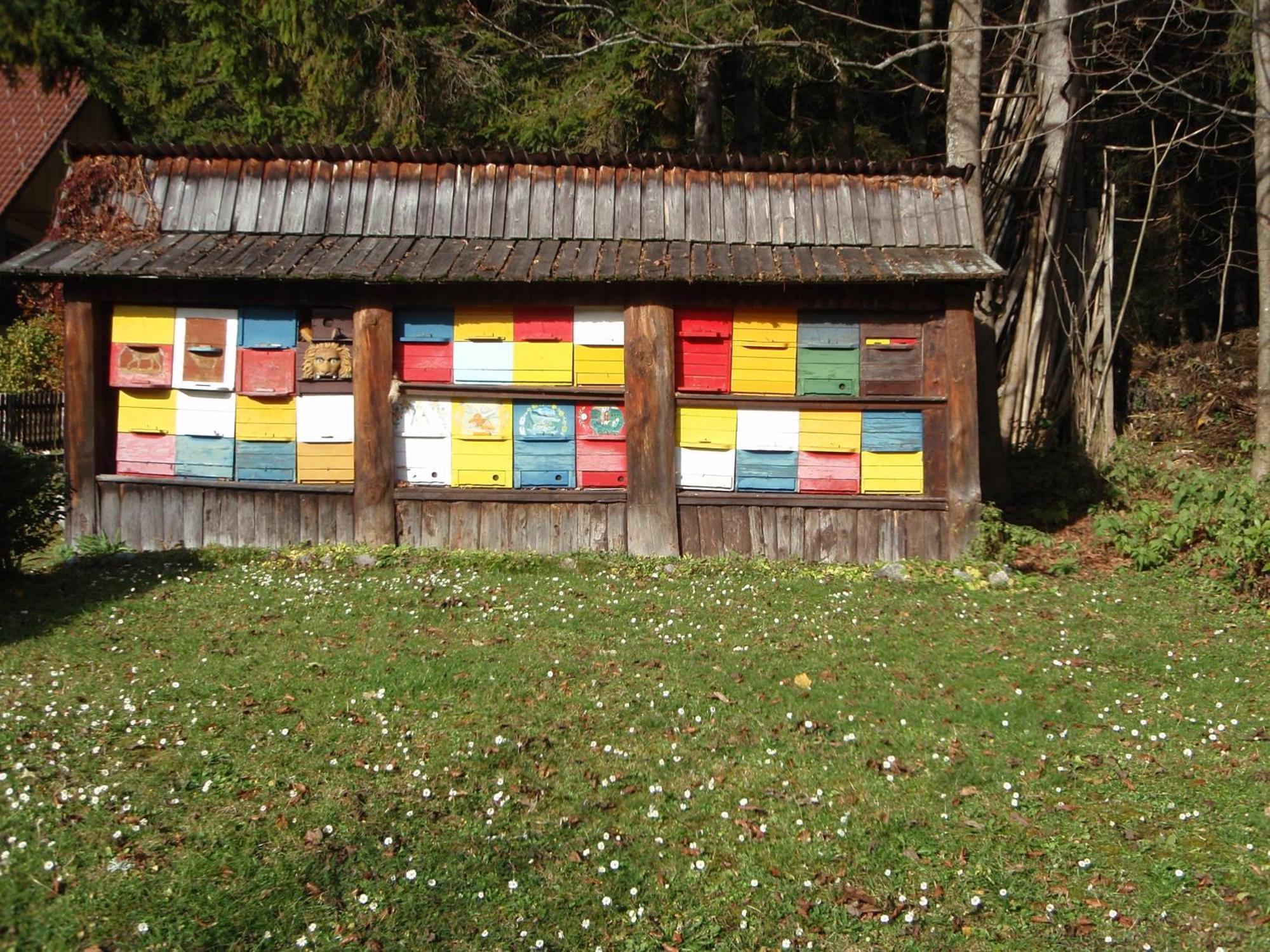 Tempfer 2 Apartments & Rooms With New Wellness Kranjska Gora Esterno foto