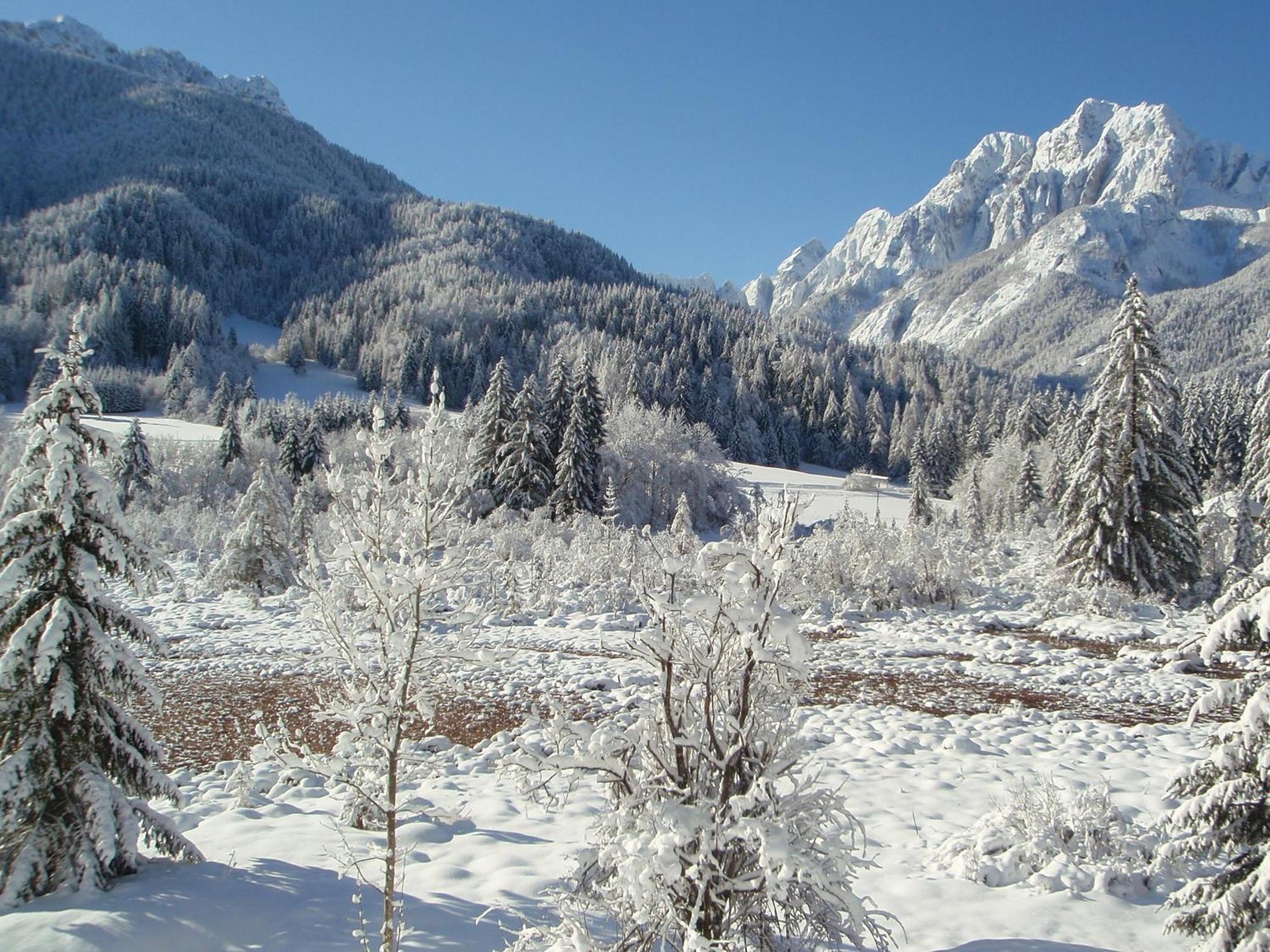 Tempfer 2 Apartments & Rooms With New Wellness Kranjska Gora Esterno foto