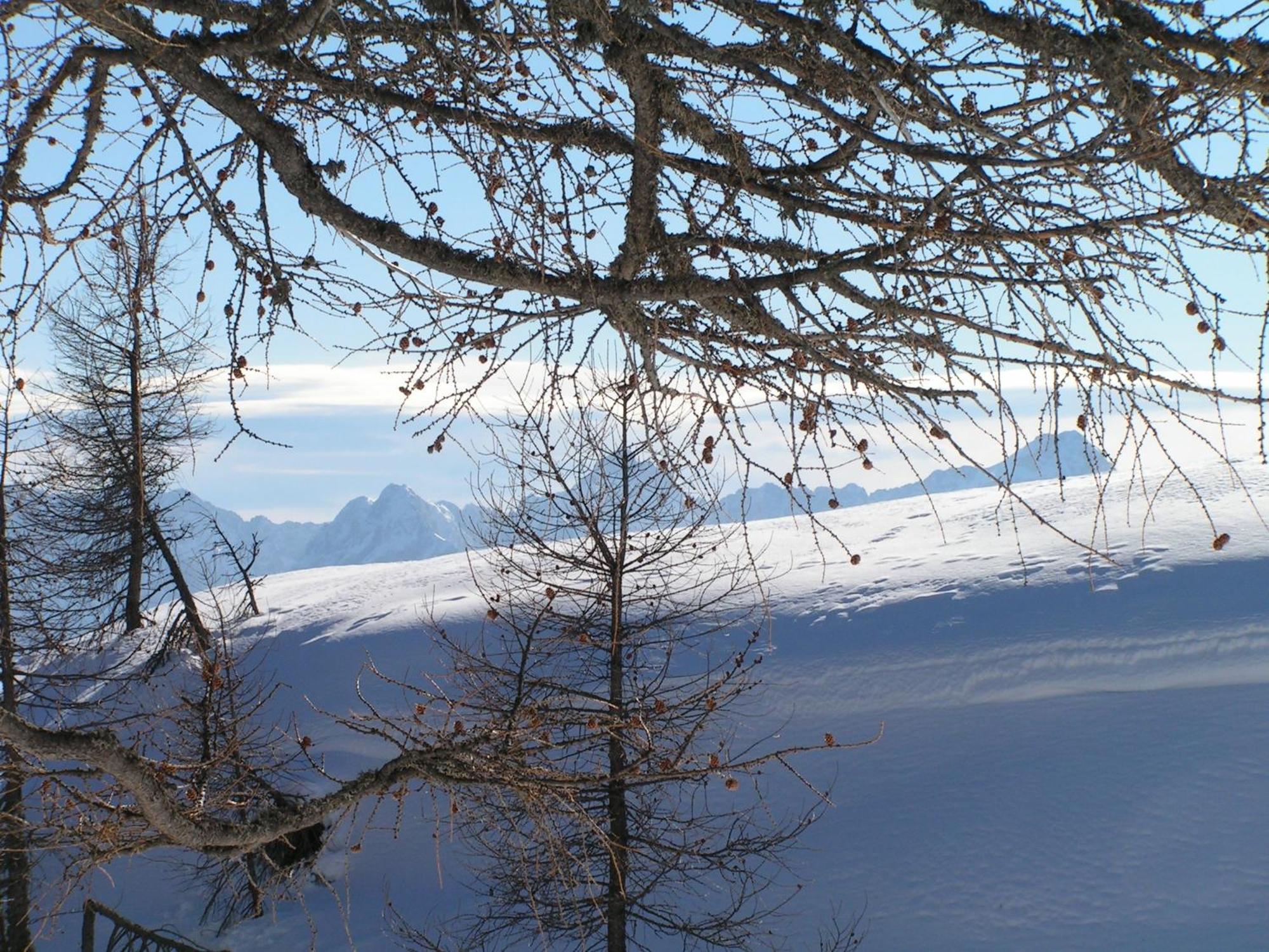 Tempfer 2 Apartments & Rooms With New Wellness Kranjska Gora Esterno foto